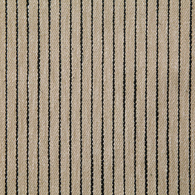 Pindler ELLSWORTH EBONY 8182 Fabric