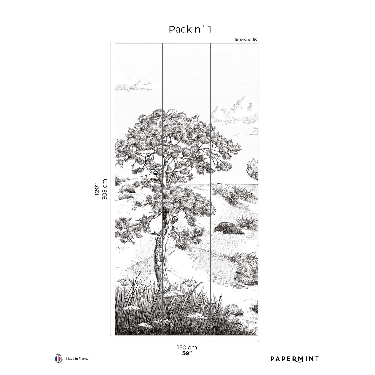 Papermint Wild Coast Pack 1 in Grey Wall Mural 8184-AR1-A