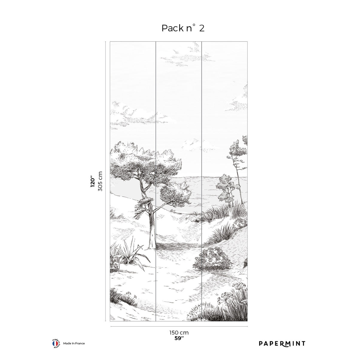 Papermint Wild Coast Pack 2 in Grey Wall Mural 8184-AR1-B