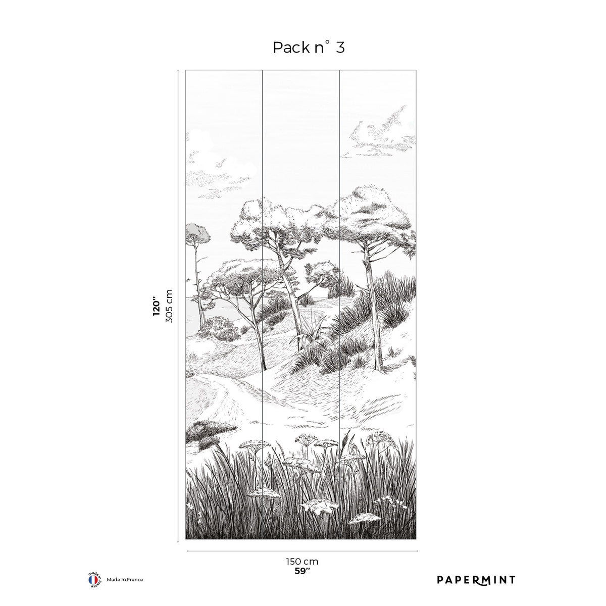 Papermint Wild Coast Pack 3 in Grey Wall Mural 8184-AR1-C