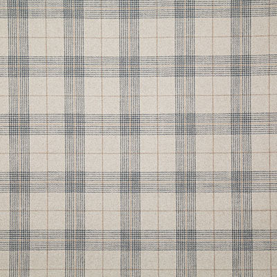 Pindler DEAN DENIM 8202 Fabric