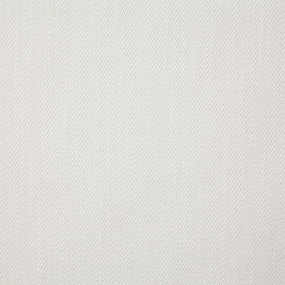 Pindler HEWITT TUSK 8203 Fabric