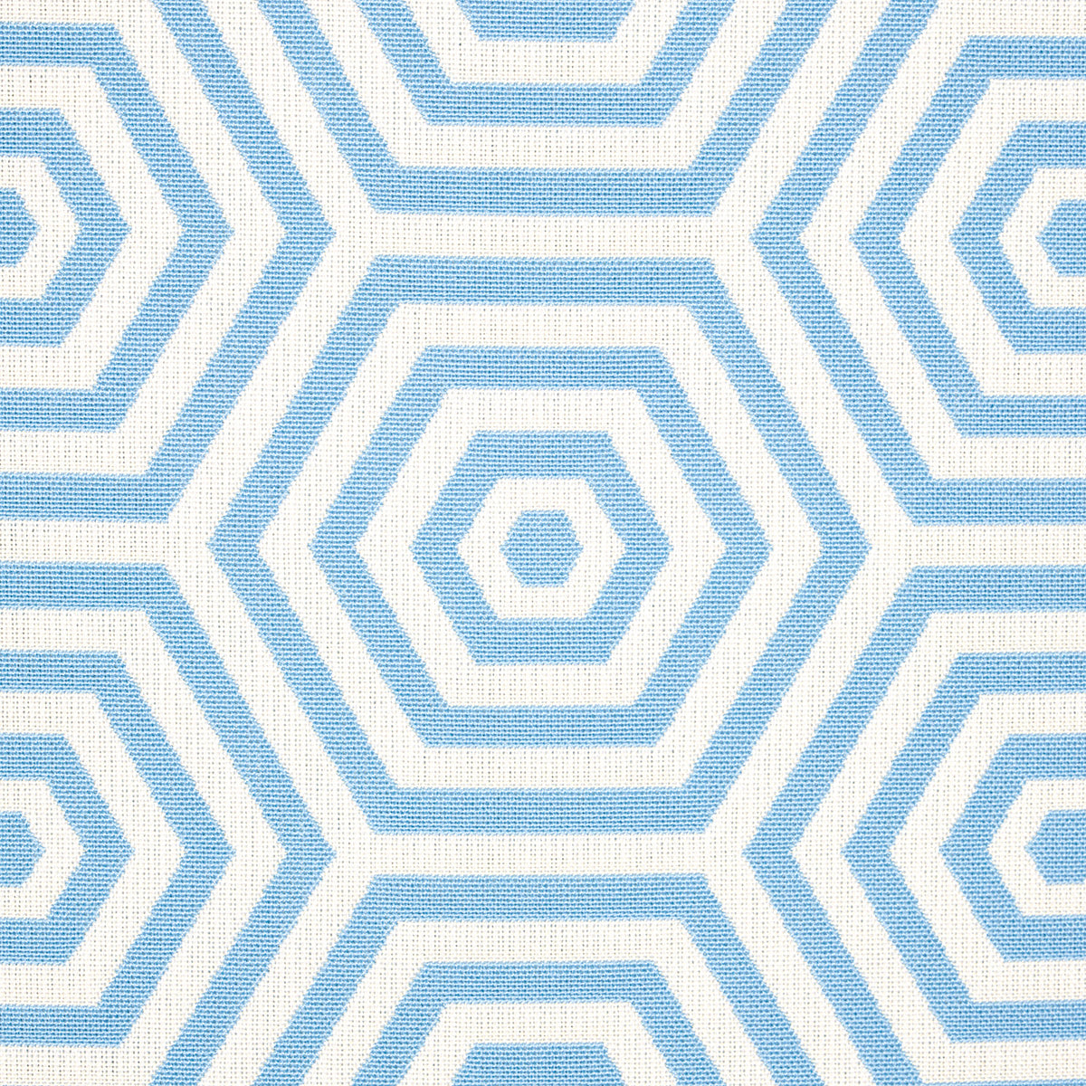 Schumacher 82310 BEES KNEES INDOOR/OUTDOOR in POOL Fabric -
