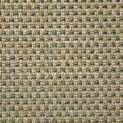 Pindler BRENDEL SPROUT 8231 Fabric - Fabric Collection