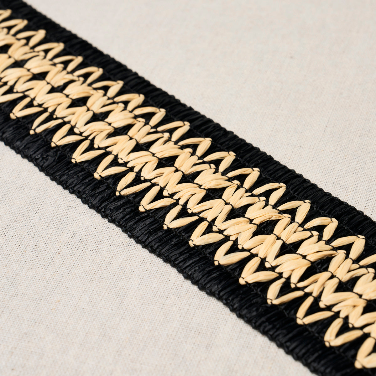 Schumacher 83551 RAPHIINAE TAPE in BLACK Trim - MESA