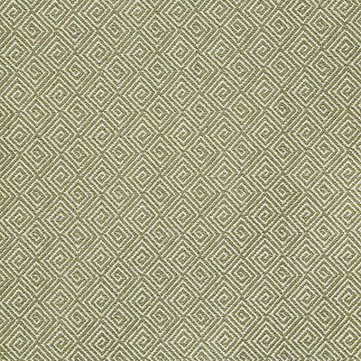 Pindler BRITTON MOSS 8356 Fabric