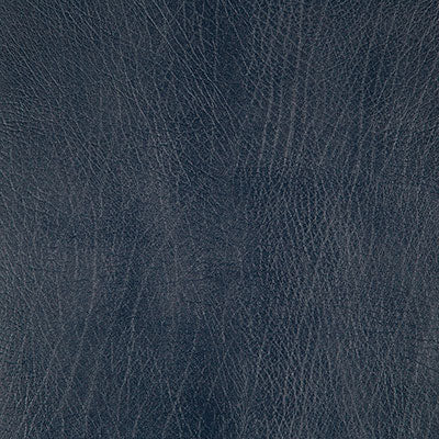 Pindler ROWDY NAVY 8371 Fabric