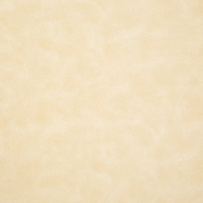 Pindler HIGGINS BONE 8373 Fabric