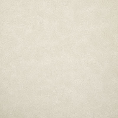 Pindler HIGGINS IVORY 8373 Fabric
