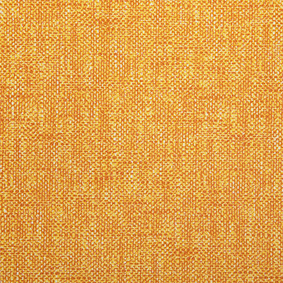 Pindler LENNOX SUNNY 8377 Fabric