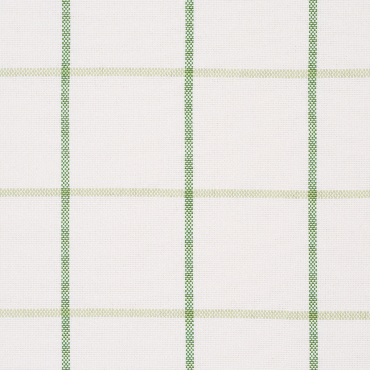 Schumacher 83786 FRANNIE WINDOWPANE in LEAF GREEN Fabric - M
