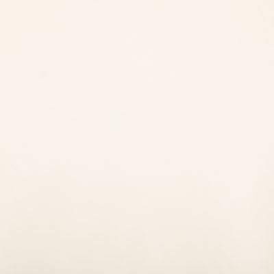 Pindler RAQUEL BONE 8403 Fabric