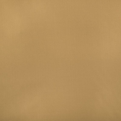 Pindler RAQUEL PRALINE 8403 Fabric
