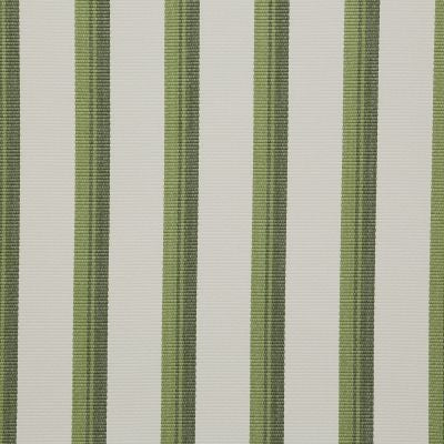 Pindler DOWNEY MATCHA 8414 Fabric