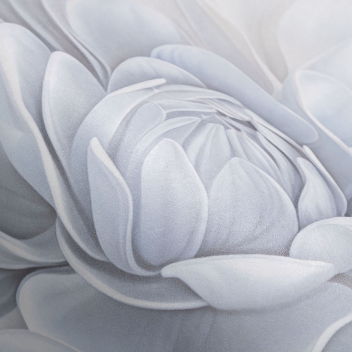 Veer Decor Pale Floral Beauty Grey Wall Mural 8416-VRZM-AC