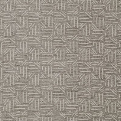Pindler PALOMA ASH 8431 Fabric