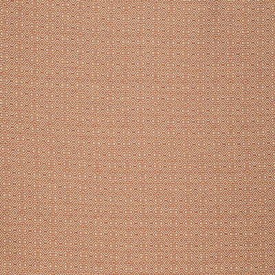 Pindler FRACTAL TERRA 8445 Fabric