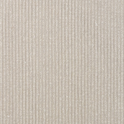 KRAVET BASICS KRAVET BASICS 90077.106.0 in 90077-106 Fabric