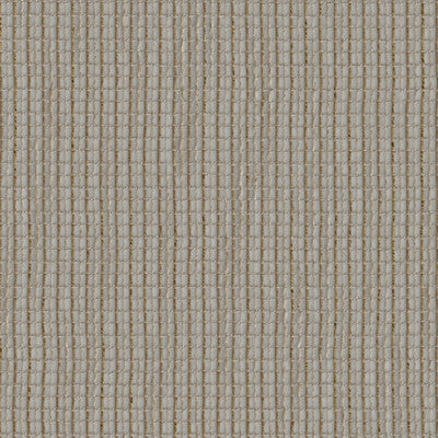 KRAVET DESIGN KRAVET DESIGN 90157.411.0 in 90157-411 Fabric