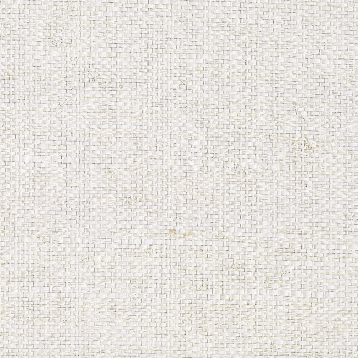 JF Studio 91-WS141 9242 Wallcovering - Eade's Wallpaper & Fabric