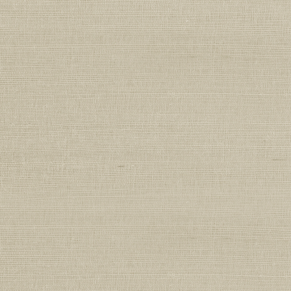 Armani RAFIA PLAIN 9364 in Taupe Wallpaper - Graphic Element
