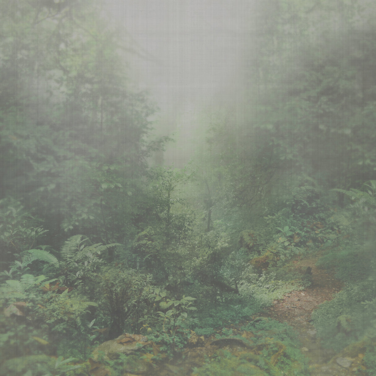 Armani IOLANTA 9400 in Green/Grey Mural - Precious Fibers