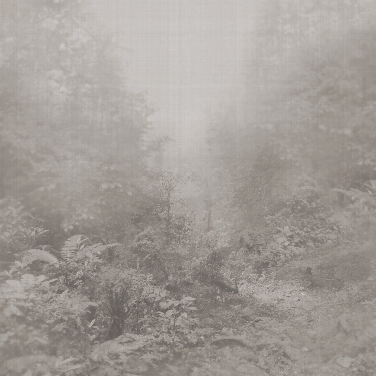 Armani IOLANTA 9401 in Grey/White Mural - Precious Fibers