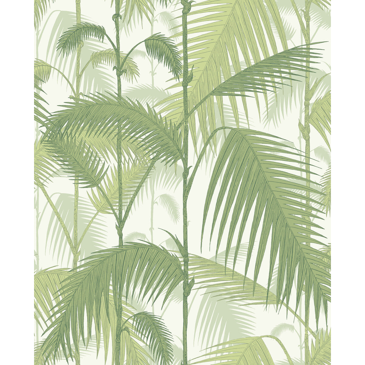 COLE & SON 95/1001.CS.0 PALM JUNGLE OLIVE GRE/WHITE Wallpaper - Eade's Wallpaper