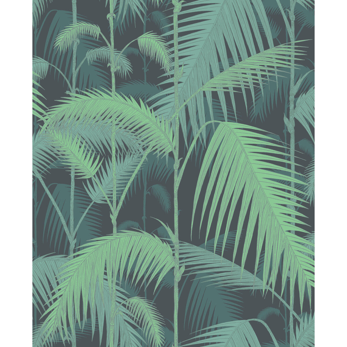 COLE & SON 95/1003.CS.0 PALM JUNGLE GREEN/BLACK Wallpaper - Eade's Wallpaper