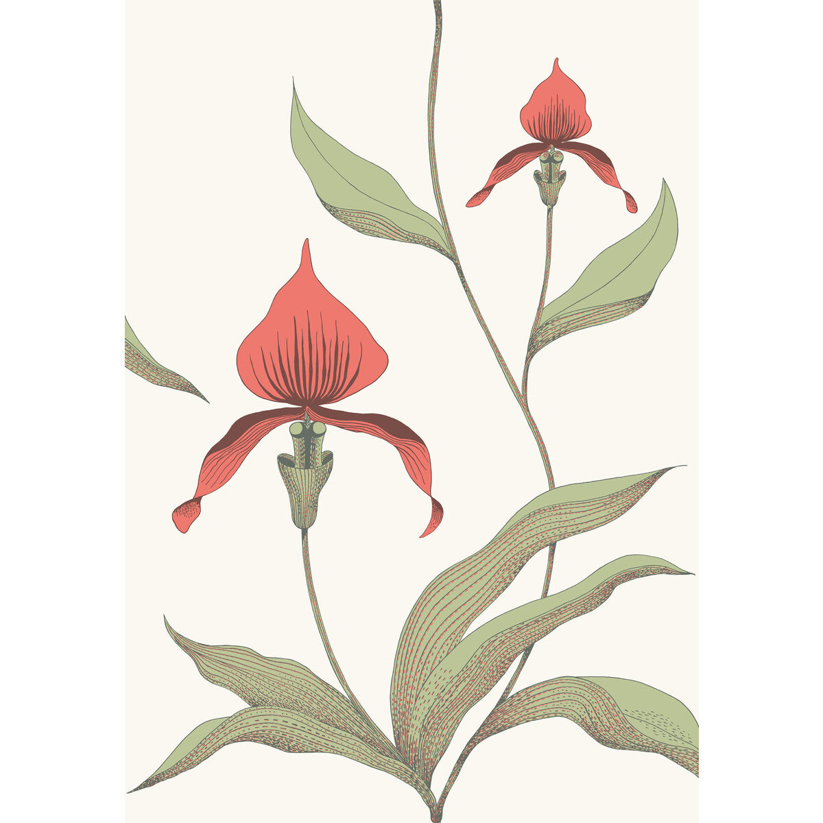 COLE & SON 95/10054.CS.0 ORCHID RED/WHITE Wallpaper - Eade's Wallpaper