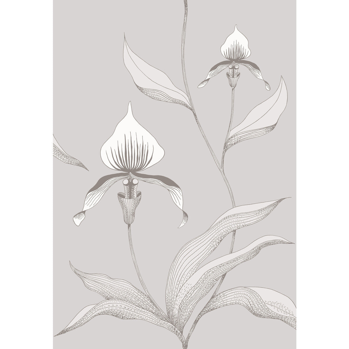 COLE & SON 95/10055.CS.0 ORCHID GREY/WHITE Wallpaper - Eade's Wallpaper