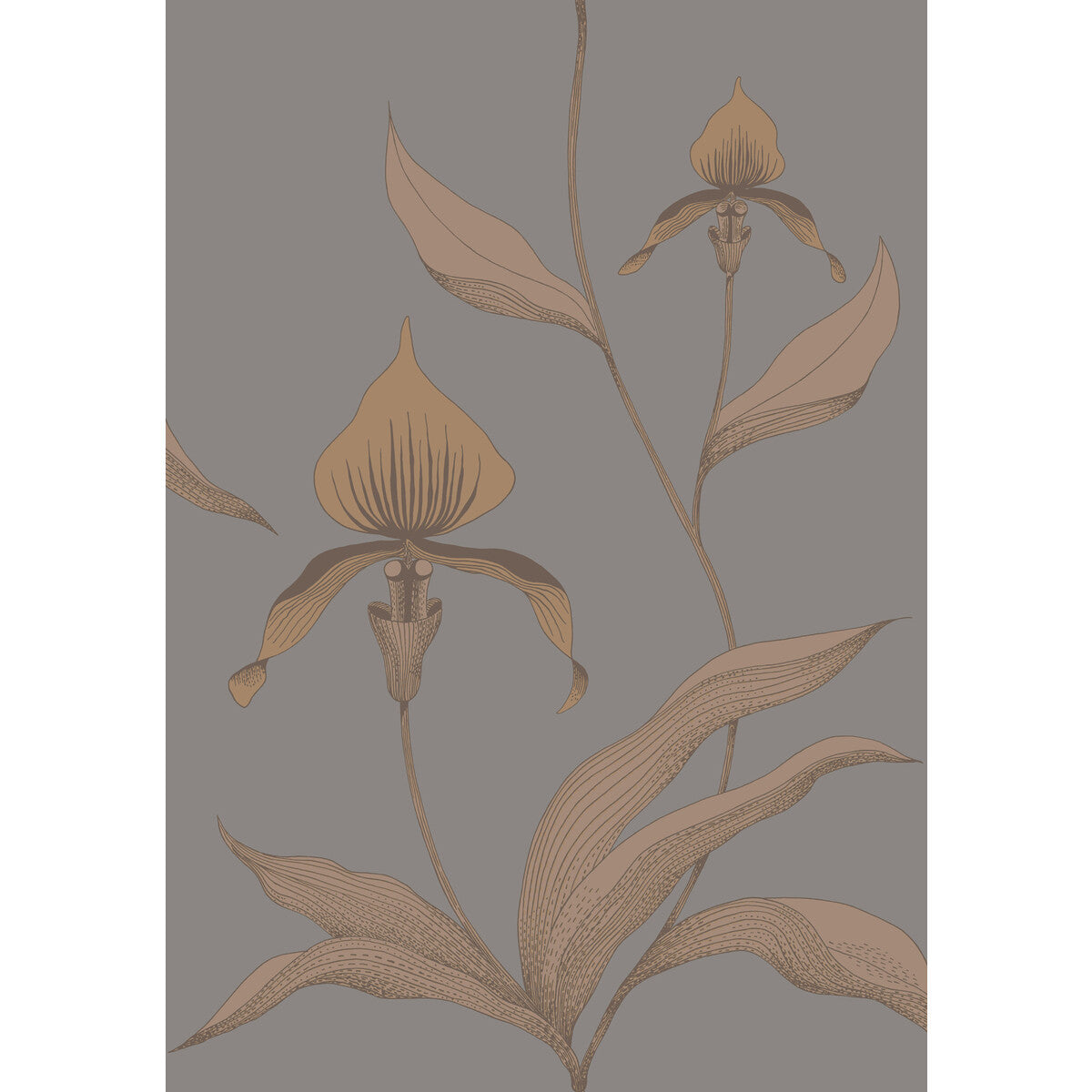 COLE & SON 95/10056.CS.0 ORCHID BRONZE/SLATE Wallpaper - Eade's Wallpaper