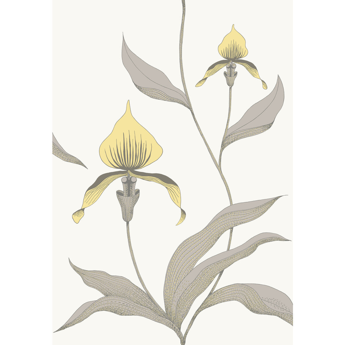 COLE & SON 95/10057.CS.0 ORCHID YELLOW/WHITE Wallpaper - Eade's Wallpaper
