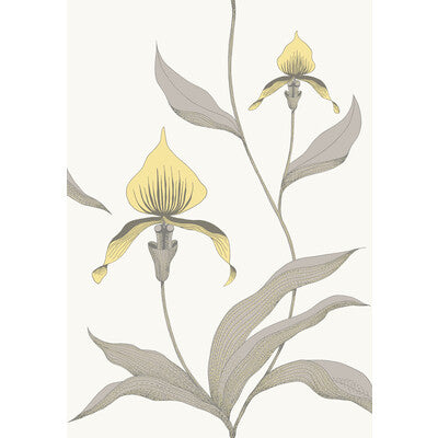 COLE & SON 95/10057.CS.0 ORCHID YELLOW/WHITE Wallpaper - Eade's Wallpaper