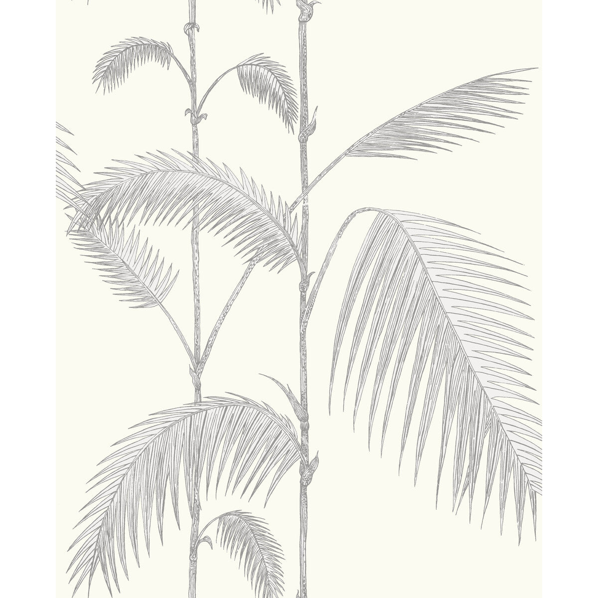 COLE & SON 95/1008.CS.0 PALM LEAVES GREY/WHITE Wallpaper - Eade's Wallpaper