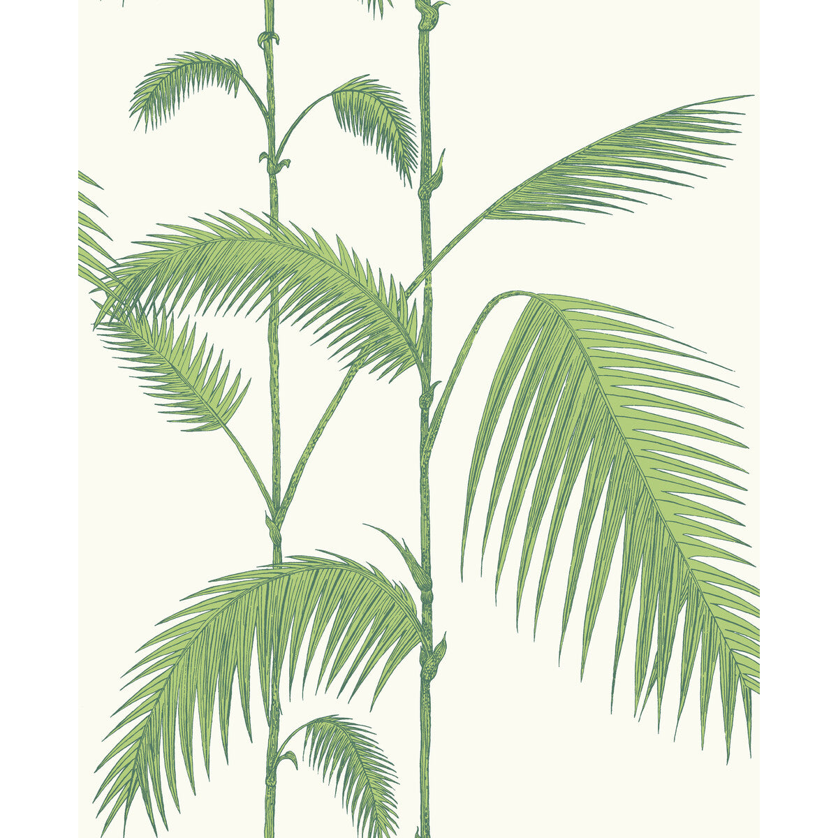 COLE & SON 95/1009.CS.0 PALM LEAVES GREEN/WHITE Wallpaper - Eade's Wallpaper