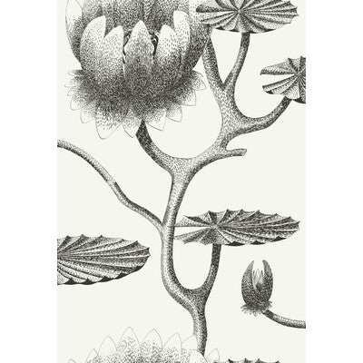 COLE & SON 95/4020.CS.0 LILY BLACK/WHITE Wallpaper - Eade's Wallpaper