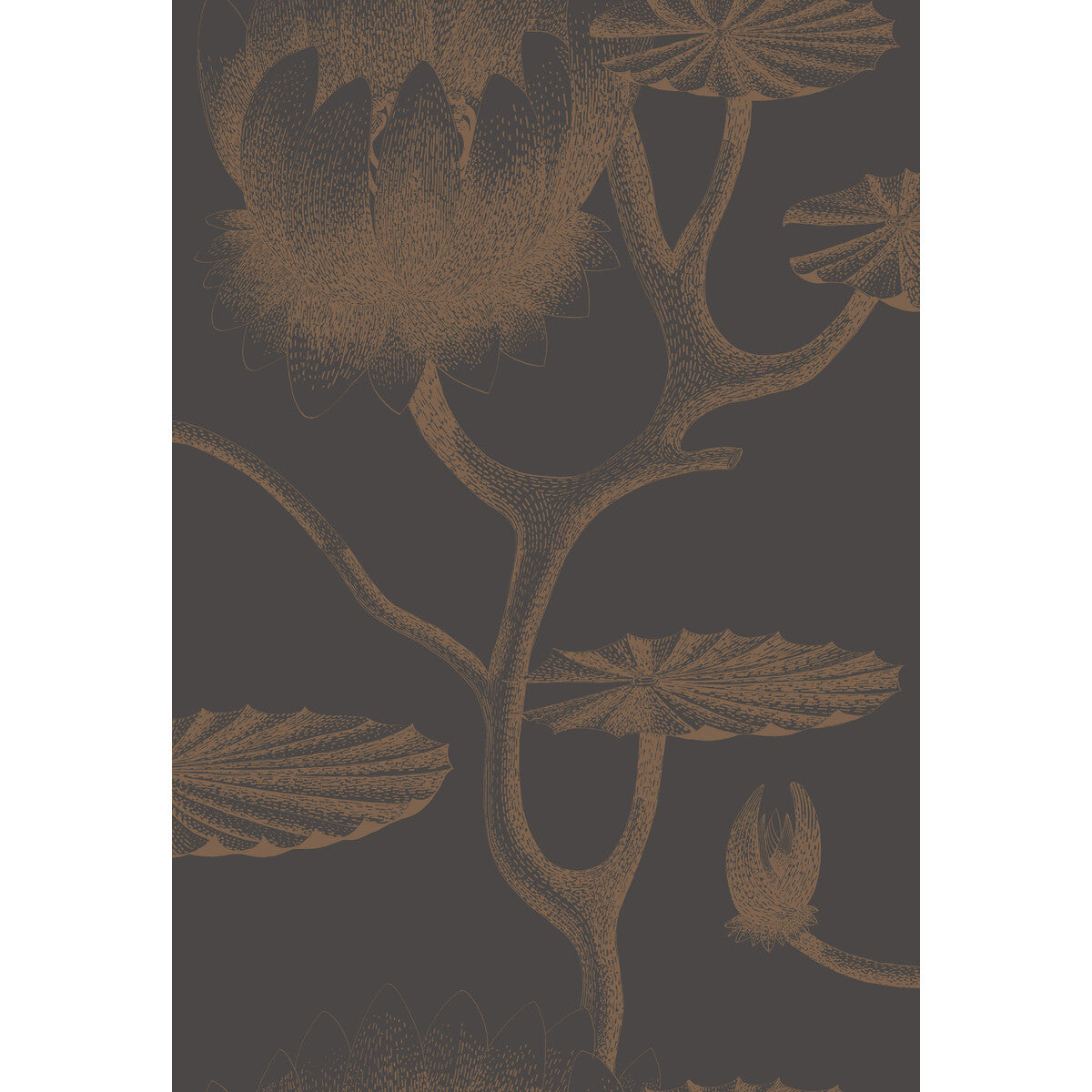 COLE & SON 95/4021.CS.0 LILY BLACK/BRONZE Wallpaper - Eade's Wallpaper