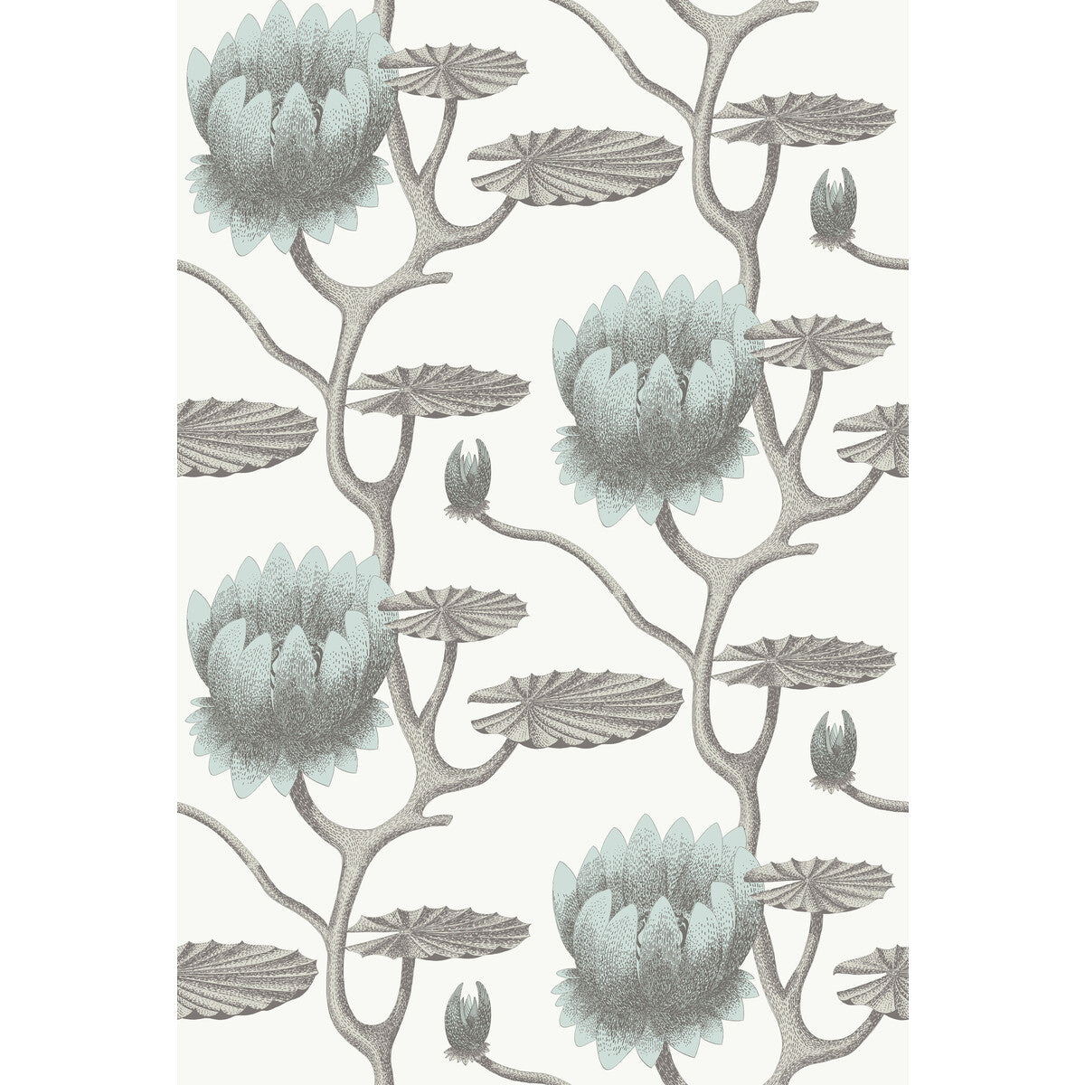 COLE & SON 95/4022.CS.0 SUMMER LILY AQUA/WHITE Wallpaper - Eade's Wallpaper