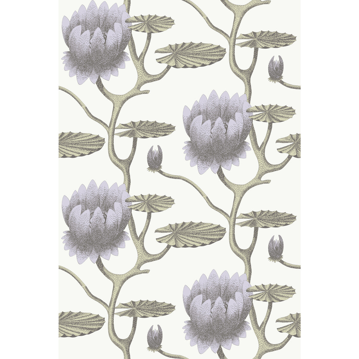 COLE & SON 95/4023.CS.0 SUMMER LILY LILAC/GRN/WT Wallpaper - Eade's Wallpaper