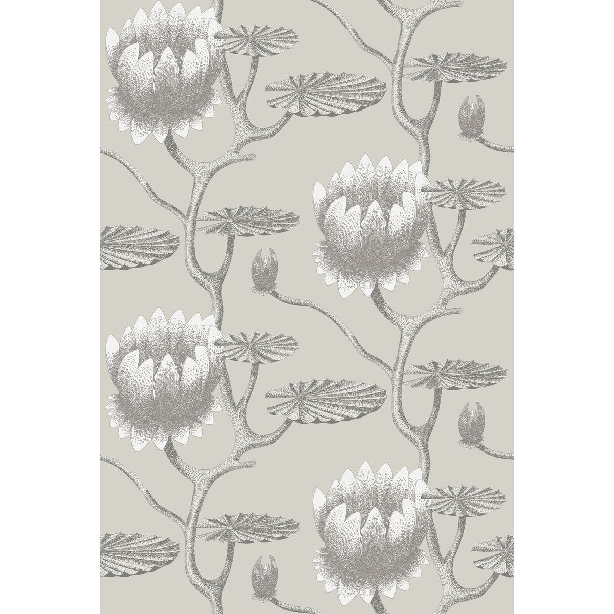 COLE & SON 95/4025.CS.0 SUMMER LILY TAUPE/WHITE Wallpaper - Eade's Wallpaper