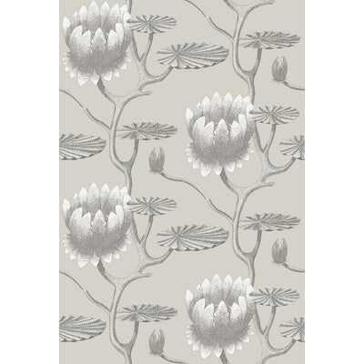COLE & SON 95/4025.CS.0 SUMMER LILY TAUPE/WHITE Wallpaper - Eade's Wallpaper