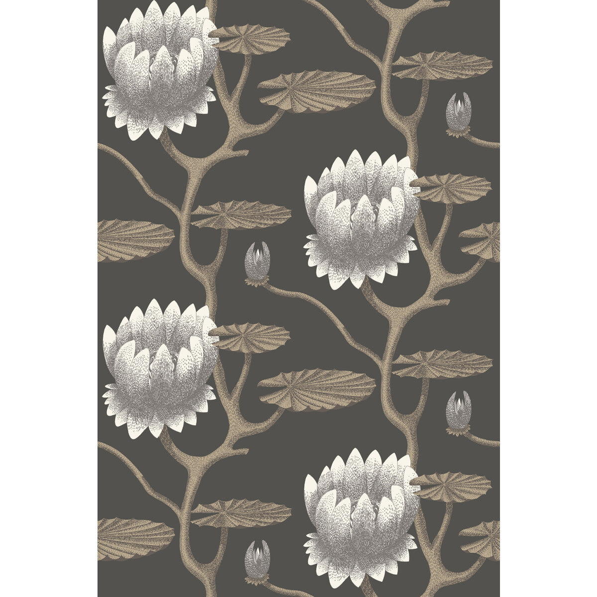 COLE & SON 95/4026.CS.0 SUMMER LILY BLK/WHT/GOLD Wallpaper - Eade's Wallpaper