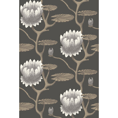 COLE & SON 95/4026.CS.0 SUMMER LILY BLK/WHT/GOLD Wallpaper - Eade's Wallpaper