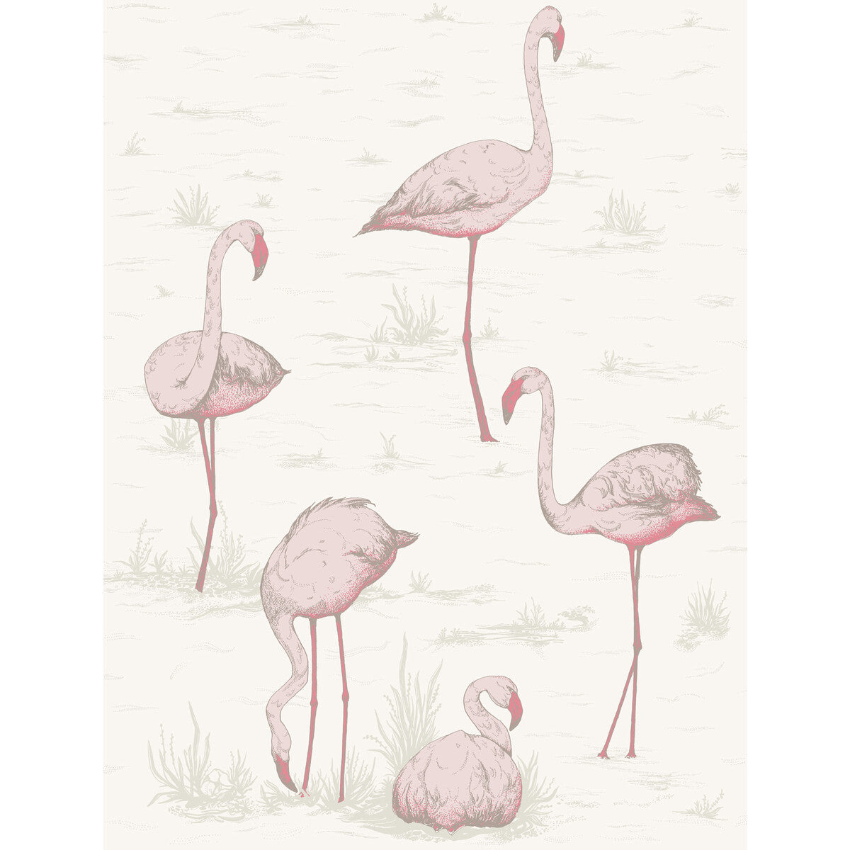 COLE & SON 95/8045.CS.0 FLAMINGOS PINK/WHITE Wallpaper - Eade's Wallpaper