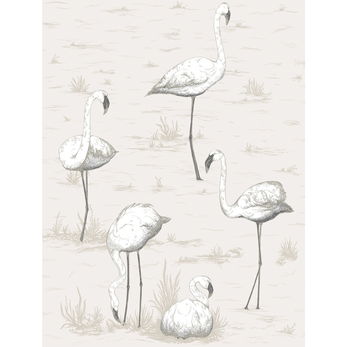 COLE & SON 95/8046.CS.0 FLAMINGOS CHARCOAL/WHT Wallpaper - Eade's Wallpaper