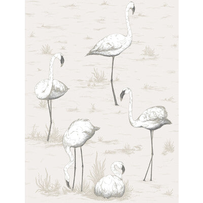 COLE & SON 95/8046.CS.0 FLAMINGOS CHARCOAL/WHT Wallpaper - Eade's Wallpaper
