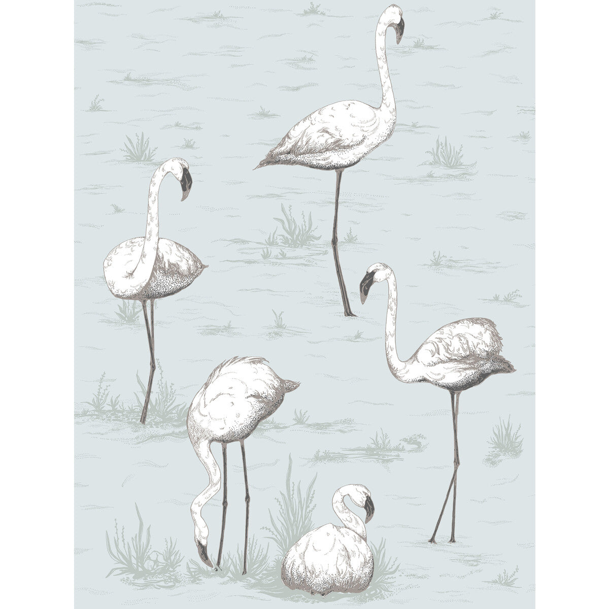 COLE & SON 95/8047.CS.0 FLAMINGOS CHARCOAL/AQUA Wallpaper - Eade's Wallpaper