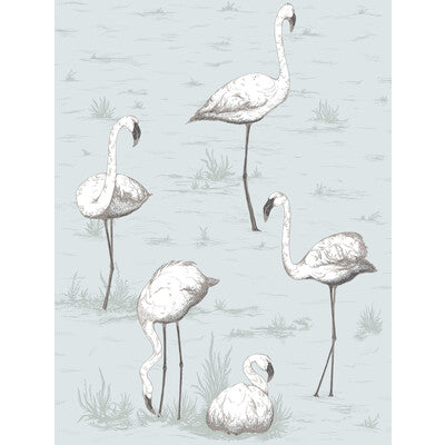 COLE & SON 95/8047.CS.0 FLAMINGOS CHARCOAL/AQUA Wallpaper - Eade's Wallpaper