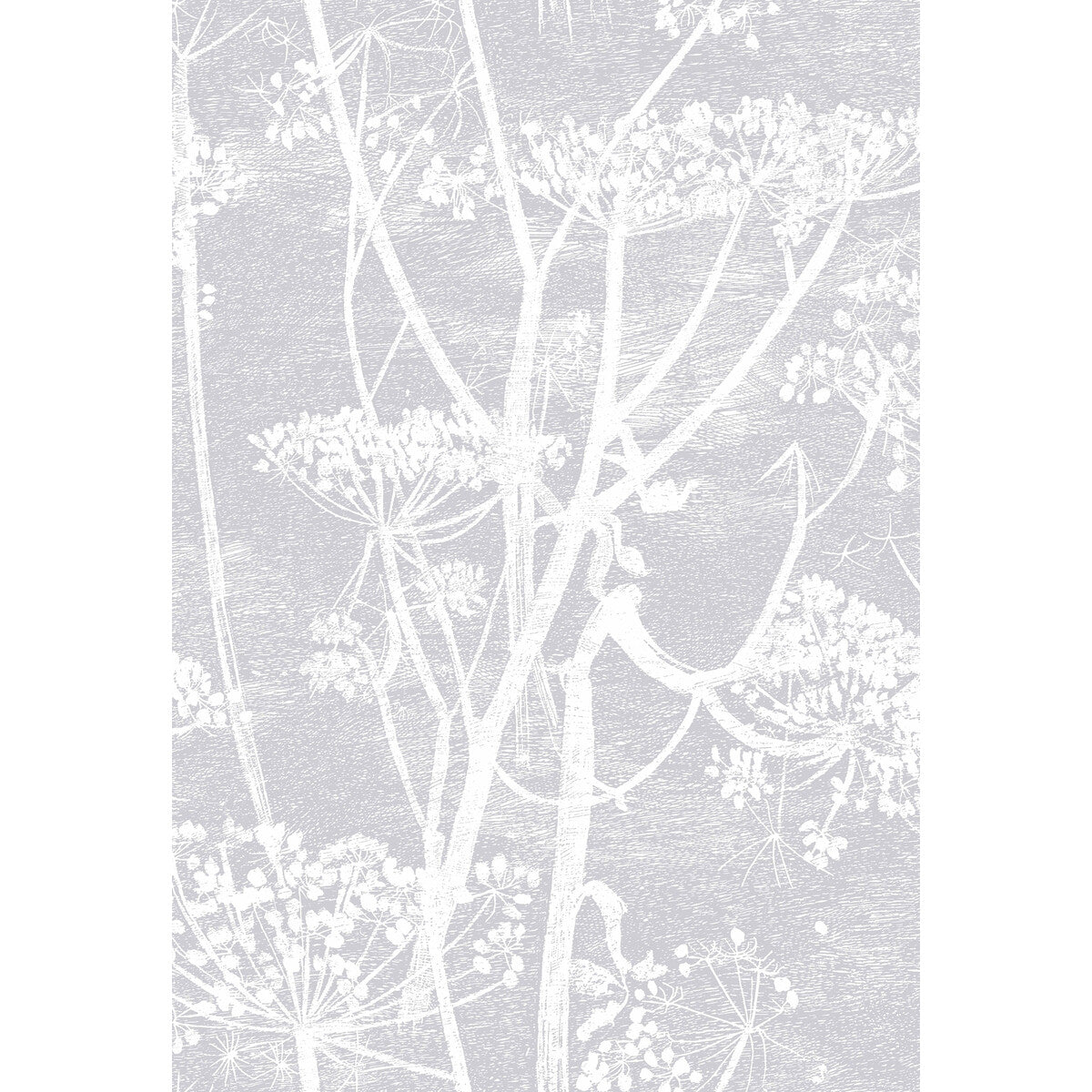 COLE & SON 95/9049.CS.0 COW PARSLEY LILAC Wallpaper - Eade's Wallpaper